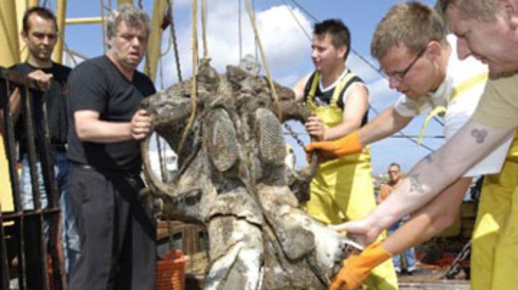 Рыбаки обнаружили останки древних чудовищ в Северном море