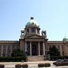 В Белграде бездомные собаки искусали депутата парламента