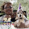 Самая старая в мире собака празднует день рождения