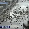 В Японии из-за землетрясения ранены десятки человек