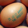 Рекламу концерта The Prodigy в Минске поместили на яйца