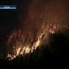 Тысячи калифорнийцев эвакуированы из-за лесных пожаров