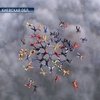 60 парашютистов поставили новый рекорд Украины