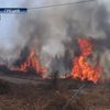 Пожары в Греции подбираются к знаменитому Марафону
