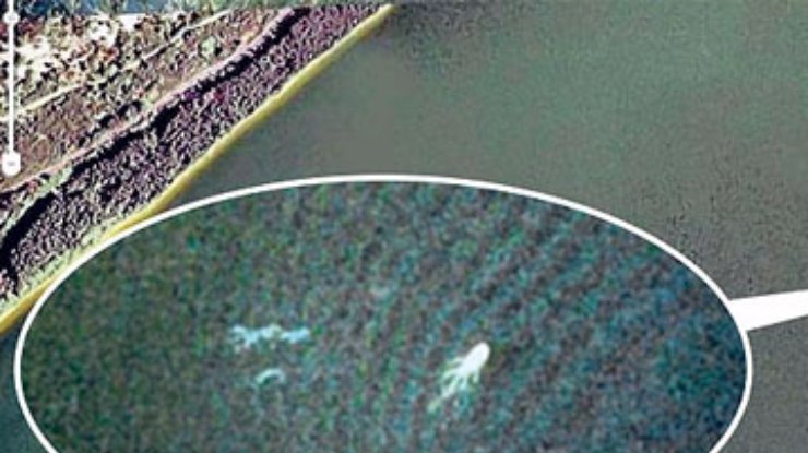 СМИ: Google Earth обнаружил лохнесское чудовище