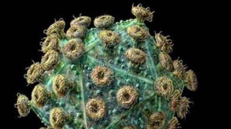 Ученые нашли антитела, способные бороться с ВИЧ