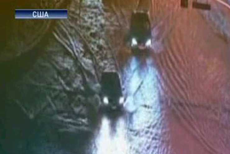 Вода из канализации Лос-Анджелеса смыла несколько автомобилей