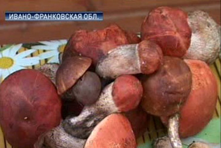 В Ворохте проходит праздник грибов