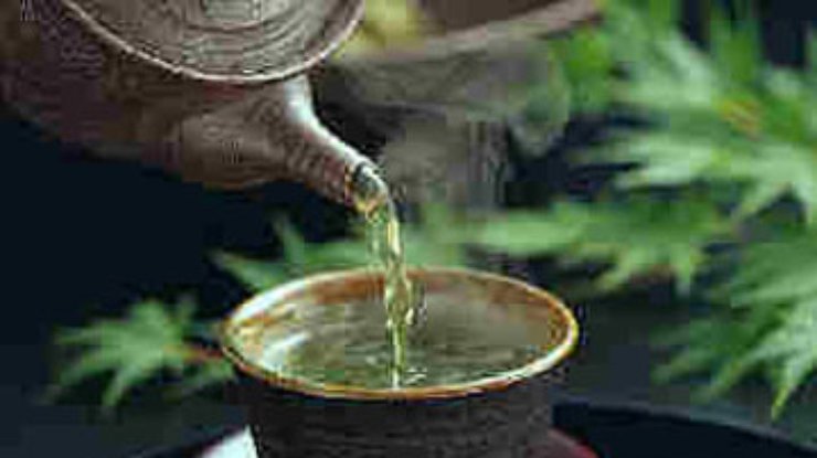 Зеленый чай в разы продлевает жизнь клеток в организме