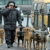 В Москве появятся урны для экскрементов животных