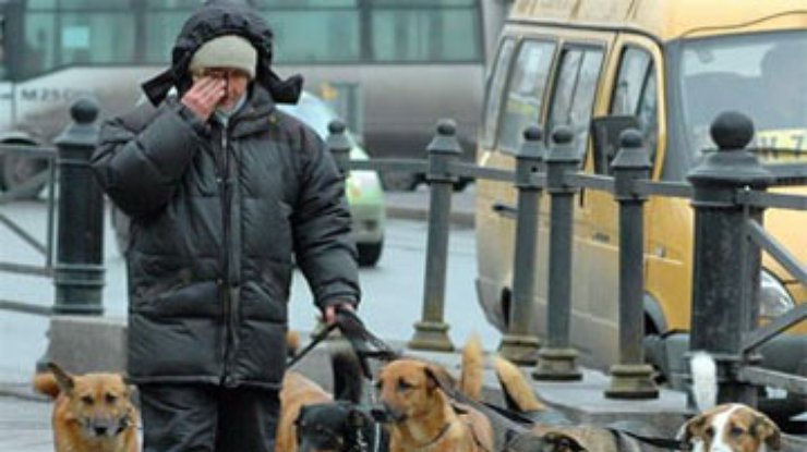 В Москве появятся урны для экскрементов животных