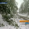Тысячи грузин из-за снегопада остались без электроэнергии