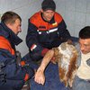Житель Чернигова застрял в унитазе, спасая 200 гривен