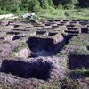 СМИ: Рядом с черепом Гонгадзе найдены фрагменты других тел