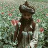 РПЦ призвала уничтожить маковые плантации в Афганистане