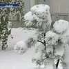 Из-за непогоды в Украине обесточены 1152 населенных пункта