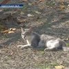 Украина отказалась от лечебно-трудовых профилакториев.