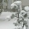 Будем ли с теплом?