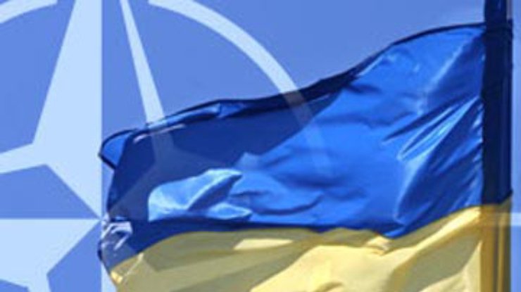НАТО: Сотрудничество с Украиной продолжится независимо от исхода выборов