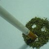 В Нидерландах один из самых низких уровней потребления марихуаны
