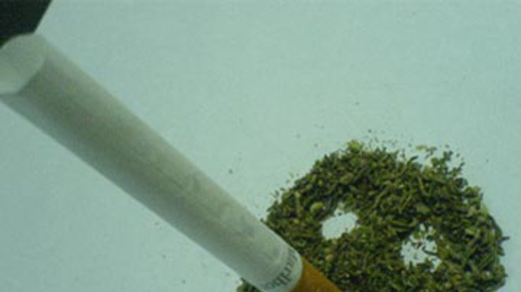 В Нидерландах один из самых низких уровней потребления марихуаны