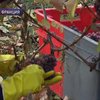 Во Франции подходит к концу сбор урожая винограда
