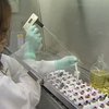 Вирус "калифорнийского" гриппа стал устойчивым к "Тамифлю"