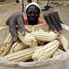 Жители США выбрасывают 40% еды