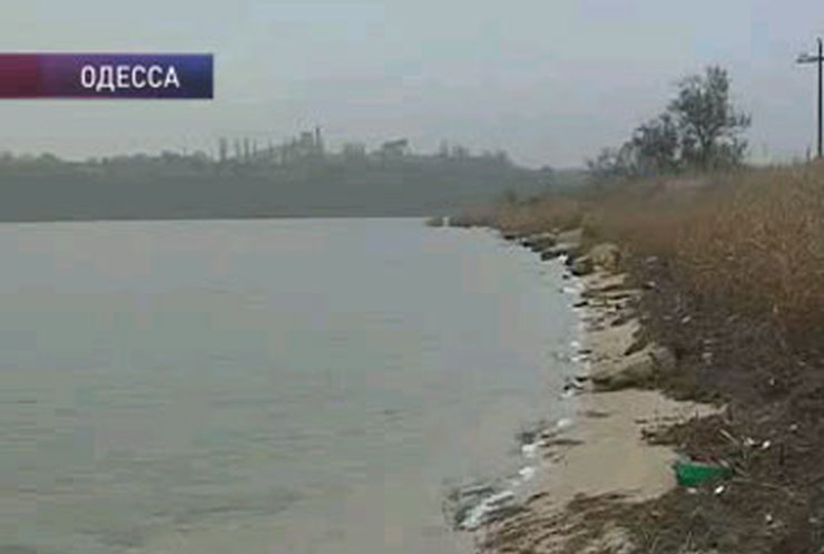Отравившиеся фосфином украинские моряки, остаются в тяжёлом состоянии