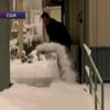 США завалило снегом, есть первые жертвы