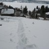 Жертвами морозов в Украине стали 66 человек