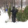 Почем елки для народа?