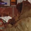 Где купить качественные продукты накануне праздников?