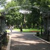 В киевских парках установят смотровые площадки