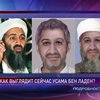 В США изготовили новый фоторобот бен Ладена