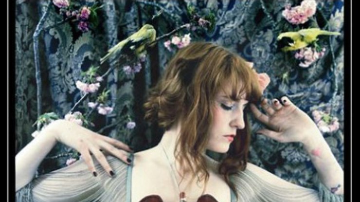 Дебютный альбом Florence + The Machine измором взял чарт