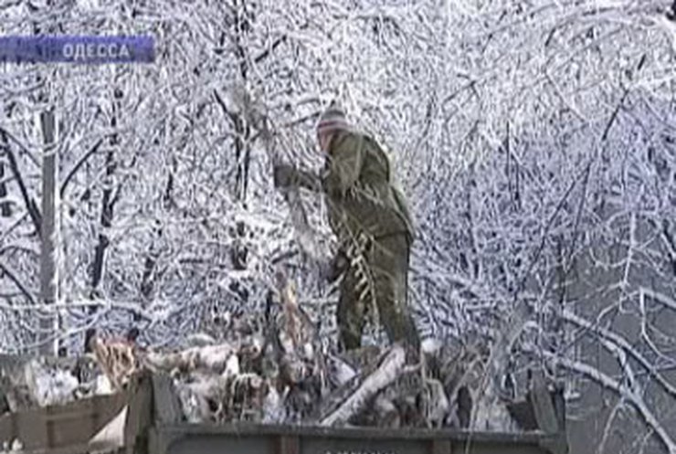 Одессу засыпало снегом