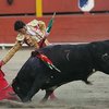 В Испании матадор победил сразу шесть быков