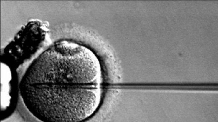 Отцовское бесплодие передается мальчикам зачатым "в пробирке"