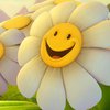 "Яндекс" заявил свои права на покупку ICQ