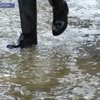Херсон затопило
