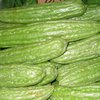 Китайская тыква поможет побороть рак груди