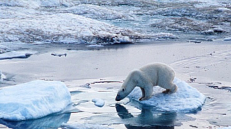 Политики заинтересованы в таянии полярных льдов