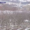 В Крыму гибнет урожай фруктов