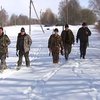 В Украине волки взяты под защиту государства