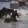 На востоке Казахстана сильные наводнения