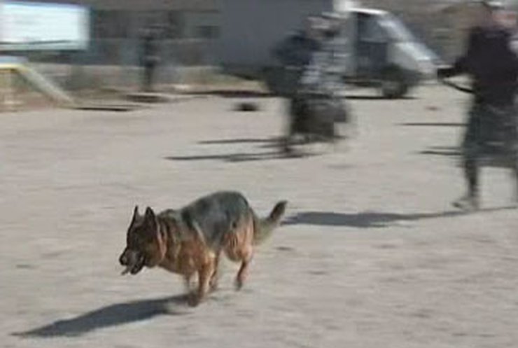 Собаки помогут в проведении Евро-2012