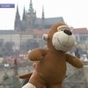 В Чехии открыли турагентство для мягких игрушек