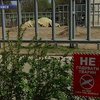 В Киевском зоопарке умер слон