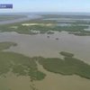 В США подожгут нефтяное пятно, разлившееся у берегов Луизианы